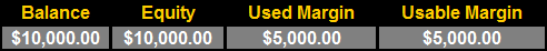 10,000 美元余额、10,000 美元股票、5,000 美元已用保证金、5,000 美元可用保证金
