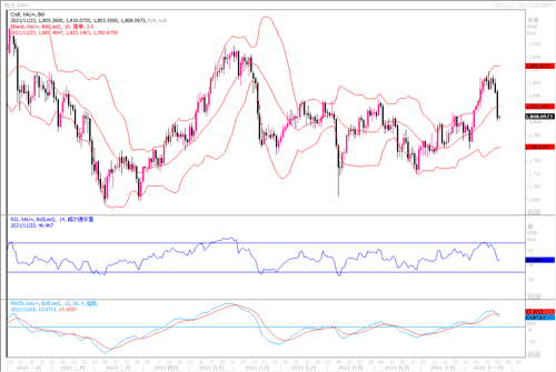 20211123—通胀担忧继续推升美元 黄金大跌超过2%