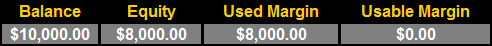 10,000 美元余额，10,000 美元股票，8,000 美元已用保证金，2,000 美元可用保证金