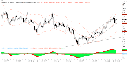 20210608—黄金延续上涨 维持上升态势