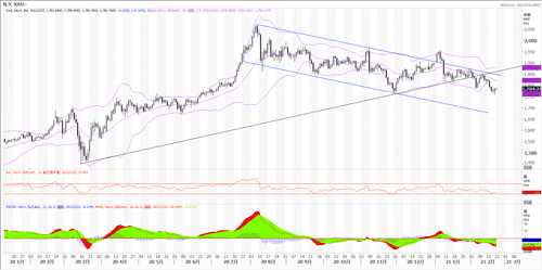 20210222—周五黄金反弹 整体弱势未减