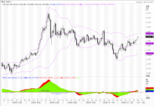20210104—鼠年强势表现的黄金 牛年仍会继续高光吗