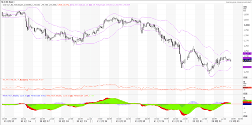 20210303—黄金1700受支撑 关注美国就业数据
