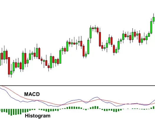 如何使用 MACD 指标？