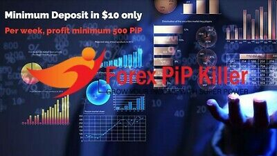 FOREX PIP KILLER EA