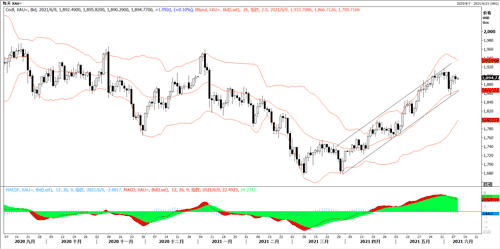 20210609—黄金震荡整理 静待通胀指引